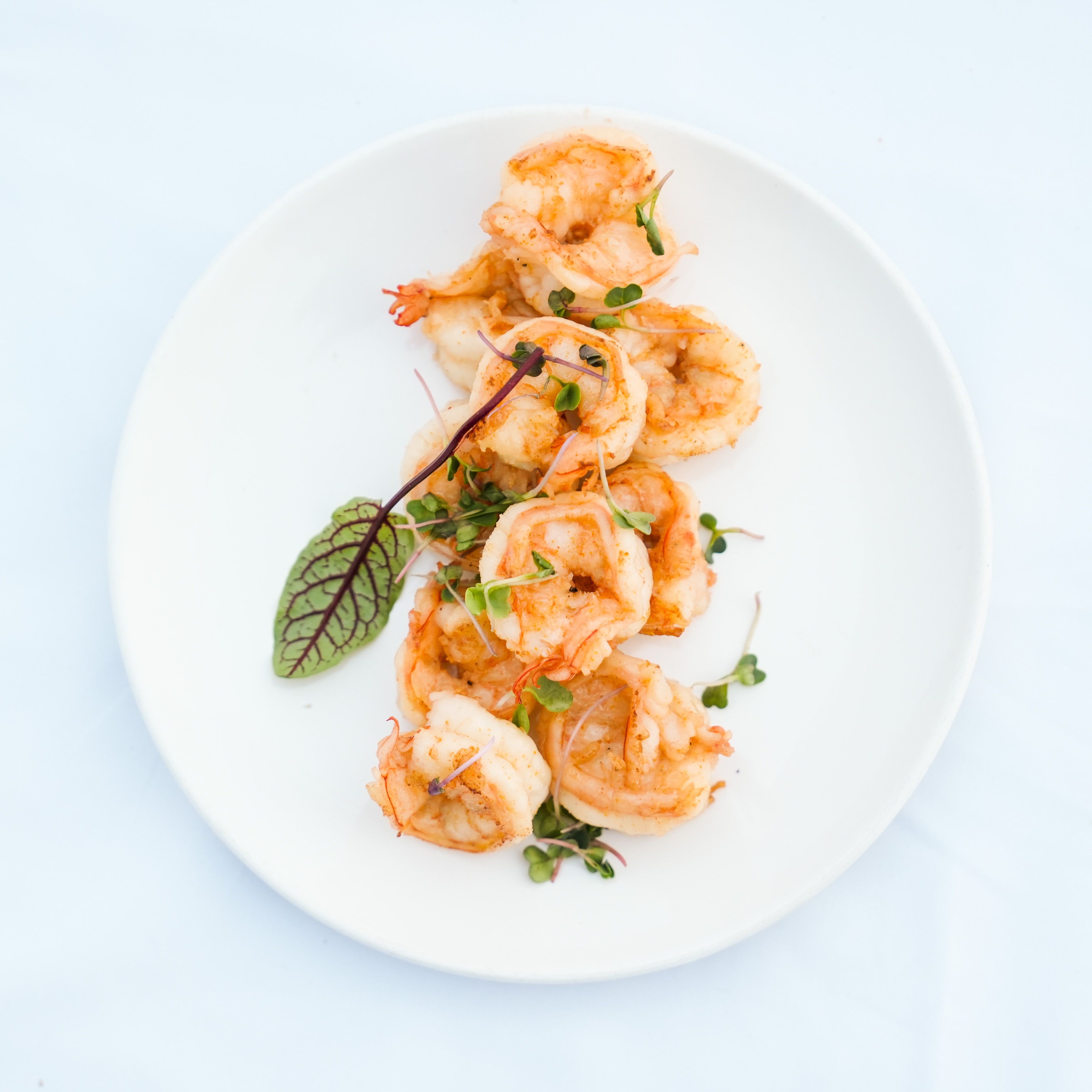 تاپینگ میگو